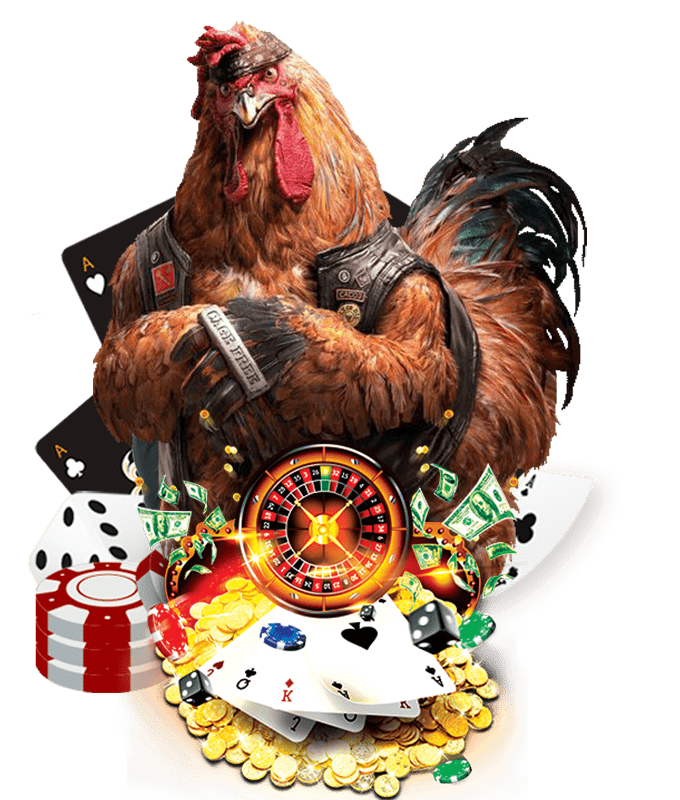 Agen Judi Sabung Ayam Online - Sabung Ayam Indonesia - Adu Ayam - UW88